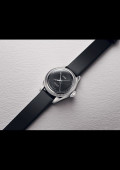 Big Crown Pointer Date