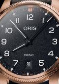 ProPilot Bronze
