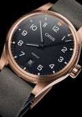 ProPilot Bronze