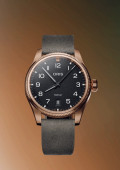ProPilot Bronze
