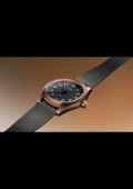 ProPilot Bronze