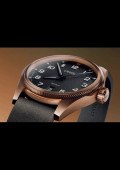 ProPilot Bronze