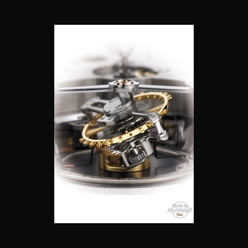 https://www.my-watchsite.com/8774-thickbox_default/tourbillon-24-secondes.jpg