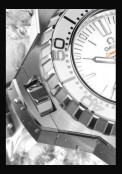 Seamaster Ploprof 1200M