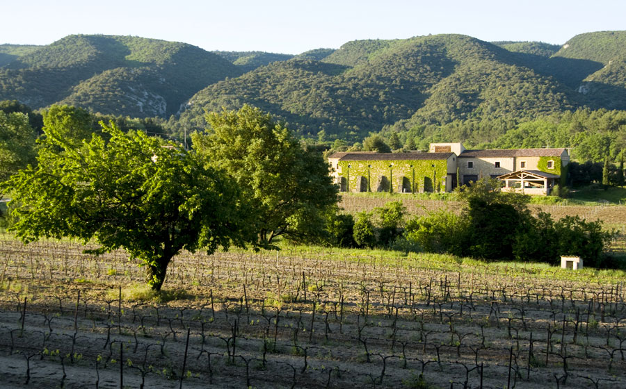 Un environnement exceptionnel pour le Domaine de Marie. A gauche le chai et à droite la Bastide de Marie, un hôtel hors du commun.