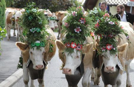 Jean-Claude Biver's traditional 