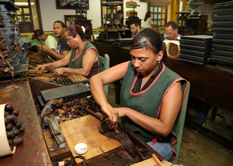 The ''torcedores'' making the Fuente Fuente Opus X