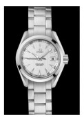 Seamaster Aqua Terra Quartz