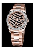 Datejust Or Everose 36 mm