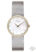 LA D DE DIOR SATINE GOLD AND STEEL