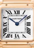 Panthère de Cartier