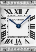 Panthère de Cartier