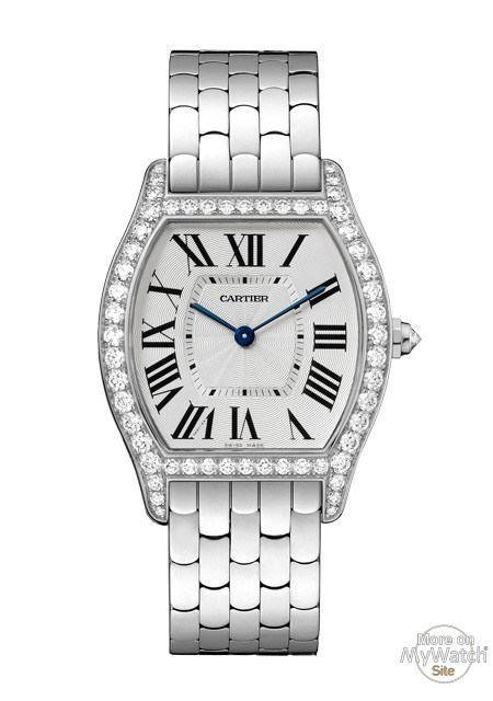 tortue cartier